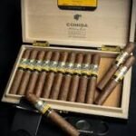 Cohiba Maduro 5 Secretos Cuban Cigars - Single