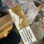 WhatsApp Image 2026-03-28 at 3.07.03 AM