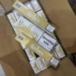 WhatsApp Image 2026-03-28 at 3.07.05 AM