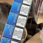 b77c1df9-61d4-4359-bcb7-a7ee251b68f8