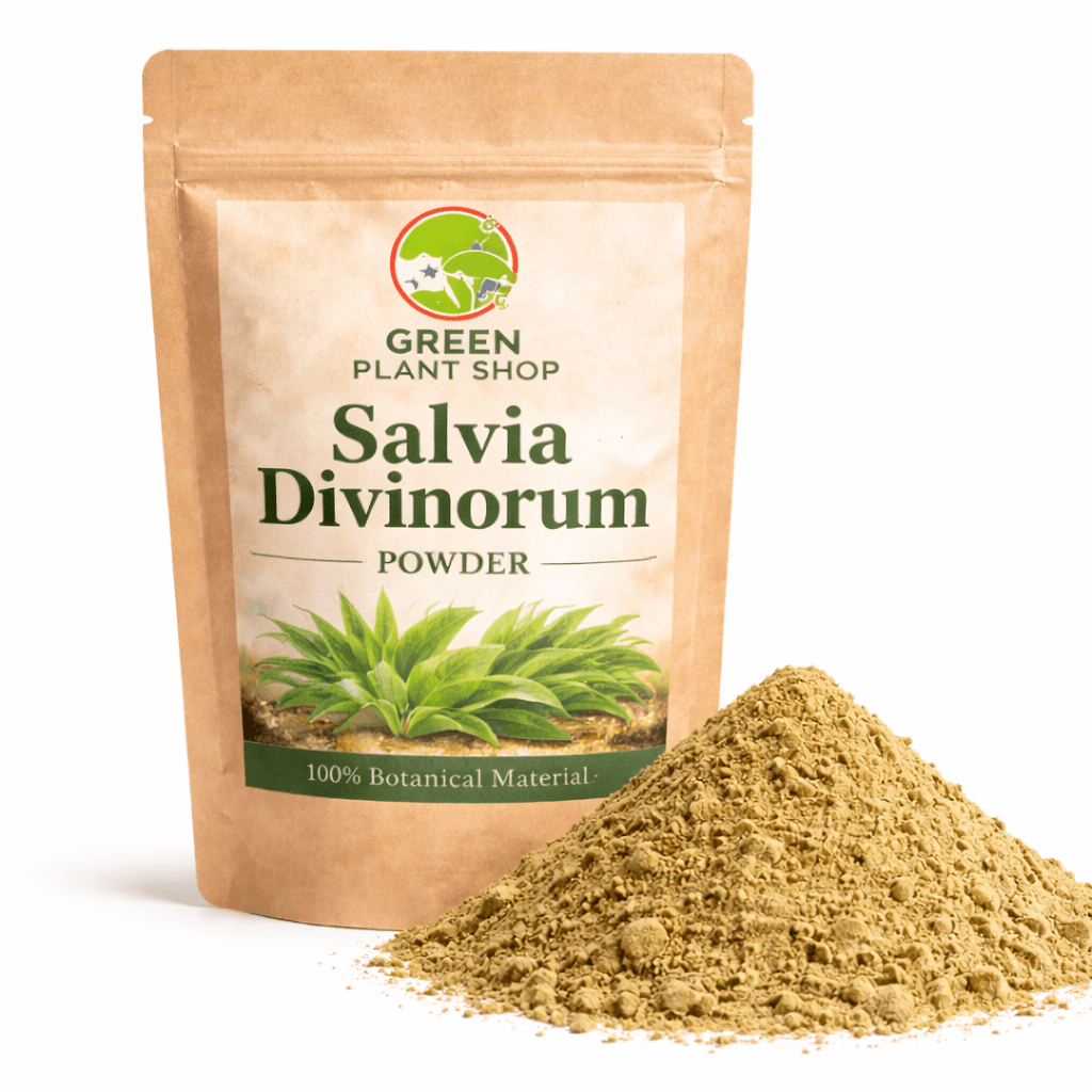 Premium Salvia divinorum leaves